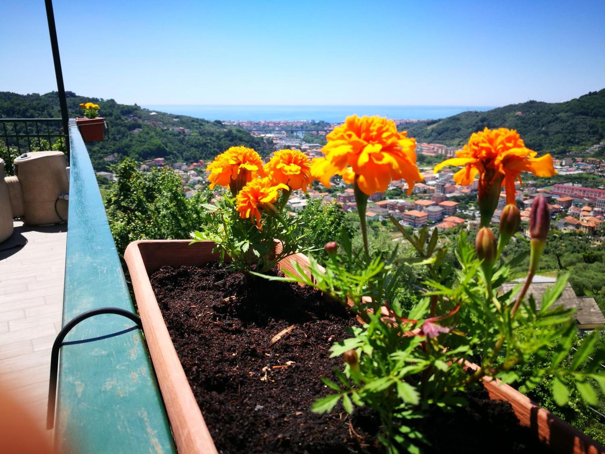 B&B La Terrazza Sui Fieschi Cogorno Exterior photo